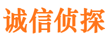 连平侦探取证